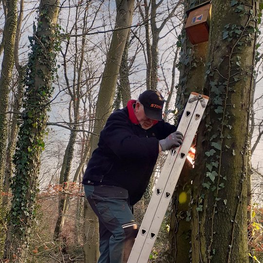 Ehrenamtliche Helfer der Kolpingsfamilie Hollage setzen die Nistkästen im Hollager Berg instand. Ehrenamtliche Helfer der Kolpingsfamilie Hollage setzen die Nistkästen im Hollager Berg instand.