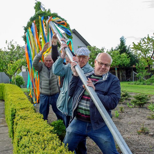 Mit vereinten Kräften stellen die Kolpinger ihren Maibaum auf. Foto: Stefan Buchholz Mit vereinten Kräften stellen die Kolpinger ihren Maibaum auf. Foto: Stefan Buchholz