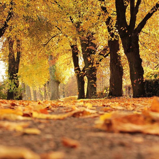 Symbolfoto: S. Hermann & F. Richter / Pixabay Symbolfoto: S. Hermann & F. Richter / Pixabay