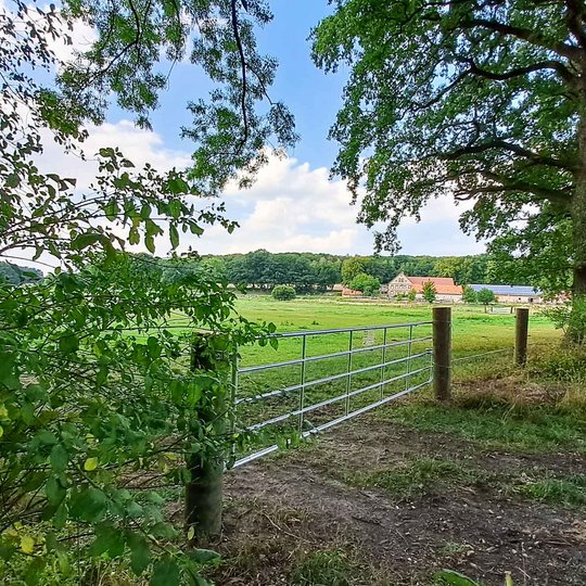 Blick auf die gegenüberliegende Pferdekoppel. Blick auf die gegenüberliegende Pferdekoppel.